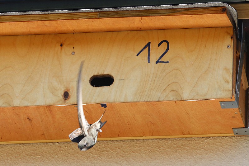 Abflug aus NH12